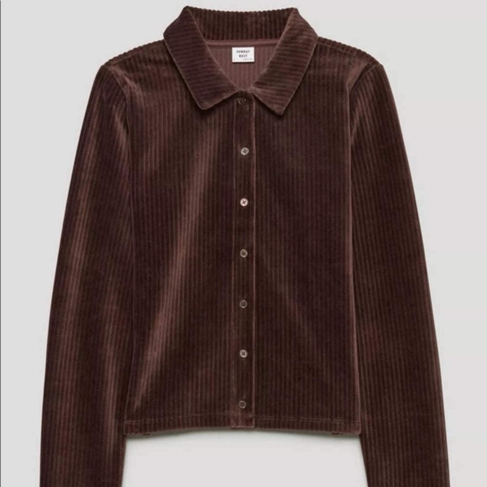 Sunday Best Brown Corduroy Crop Button-Up Top